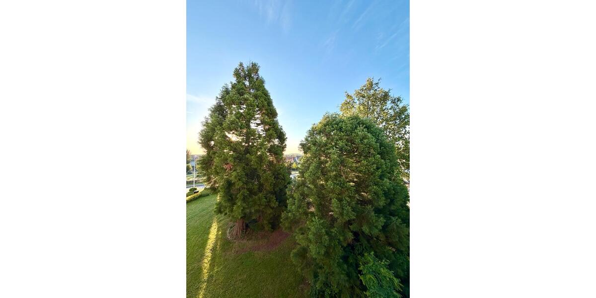 Maisonettenwohnung Bad Rappenau - 5.5 Zimmer, 160 m&sup2;, 660.000&euro; | Angebot:26960672