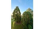 Maisonettenwohnung Bad Rappenau - 5.5 Zimmer, 160 m&sup2;, 660.000&euro; | Angebot:26960672