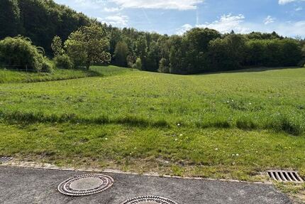 Baugebiet im Dornröschenschlaf - Grundstück Sibbesse Wrisbergholzen | Angebot:26769068