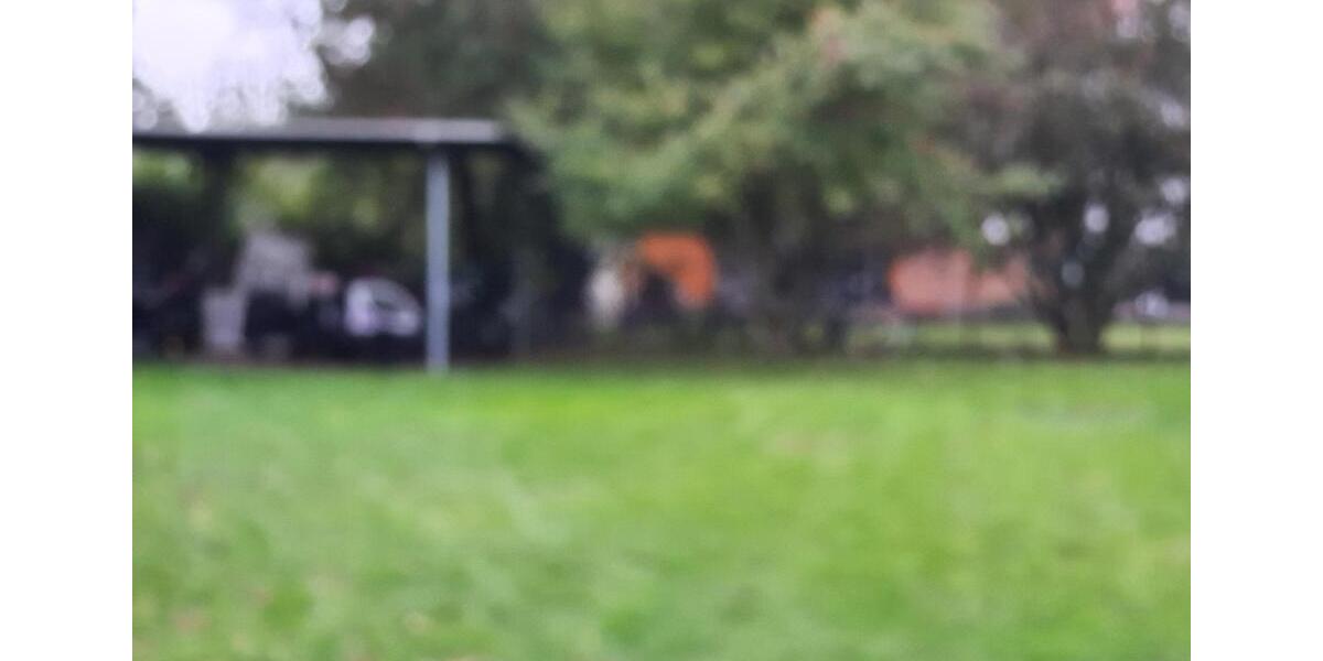 Charmante Einzimmer. Keller. Parkplatz. Garten 1 zimmer