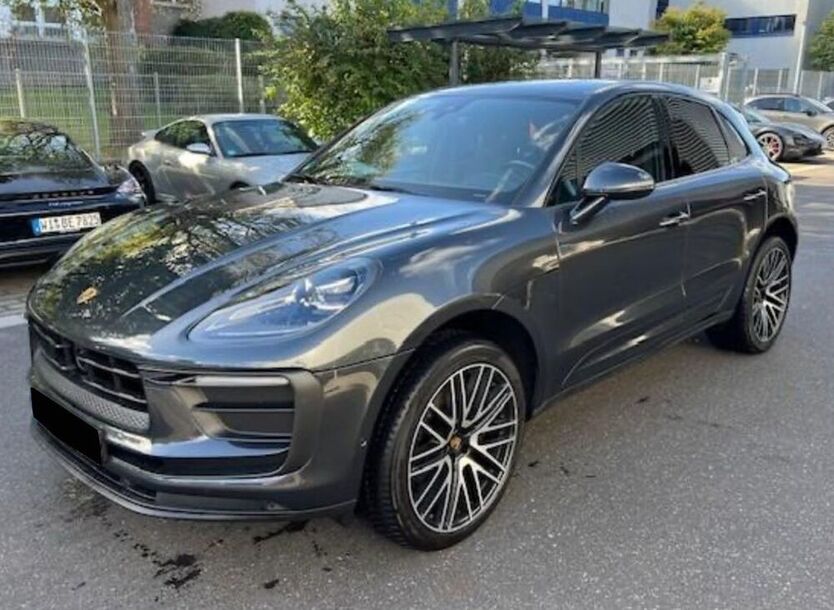 Macan