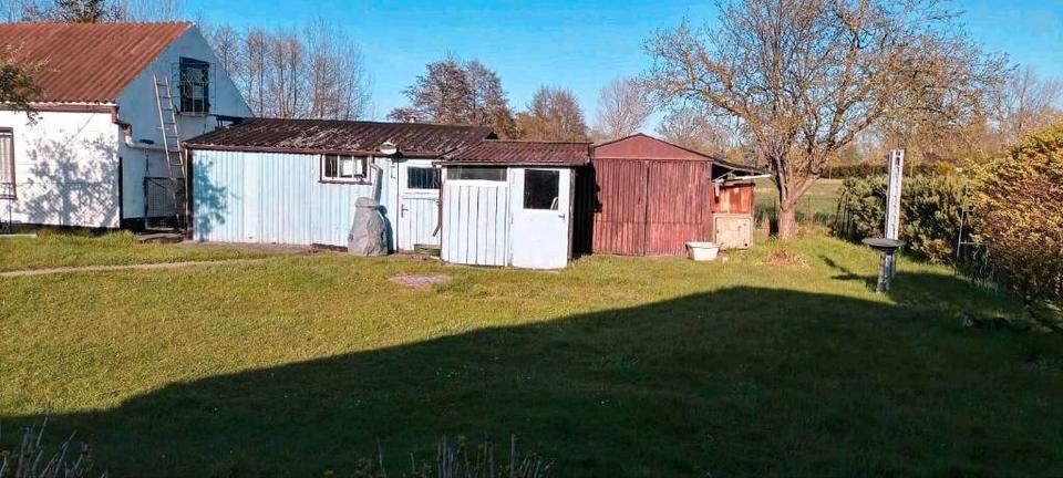 Einfamilienhaus Zingst - 5 Zimmer, 220 m&sup2;, 1.300.000&euro; | Angebot:24536012