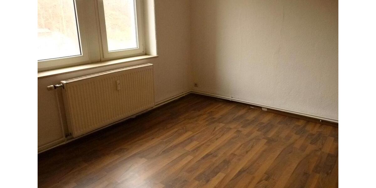 Mehrfamilienhaus, Wohnhaus Sebnitz - 25 Zimmer, 450 m&sup2;, 99.500&euro; | Angebot:27095367