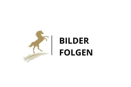 Ford Tourneo Custom 100.000 km 36.900 &euro; Hannover 30457