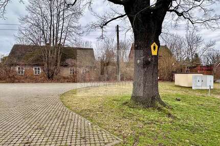 Grundstück zu verkaufen in Vetschau Missen 65.000 € 1791 m²