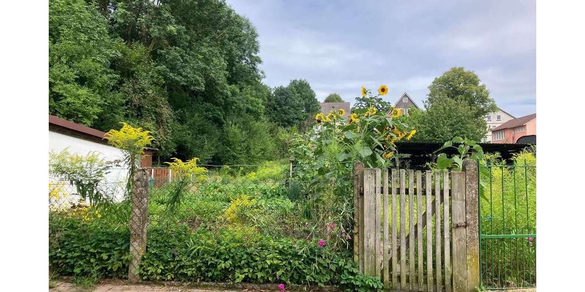 Grundstück Dransfeld - 190.000&euro; | Angebot:25496479