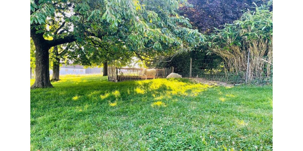 Einfamilienhaus Ortenburg - 2 Zimmer, 116 m&sup2;, 390.000&euro; | Angebot:26398237