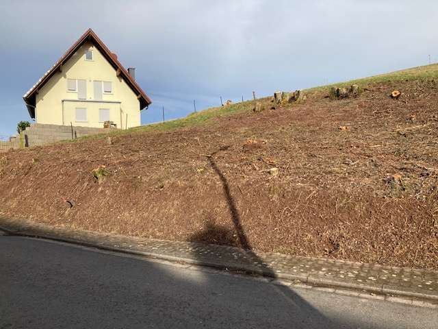 Grundstück zu verkaufen in Schneckenhausen 27.990 € 622 m² zimmer