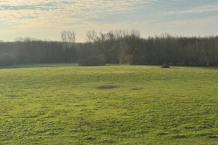 Wohnung zu vermieten 3 zimmer
