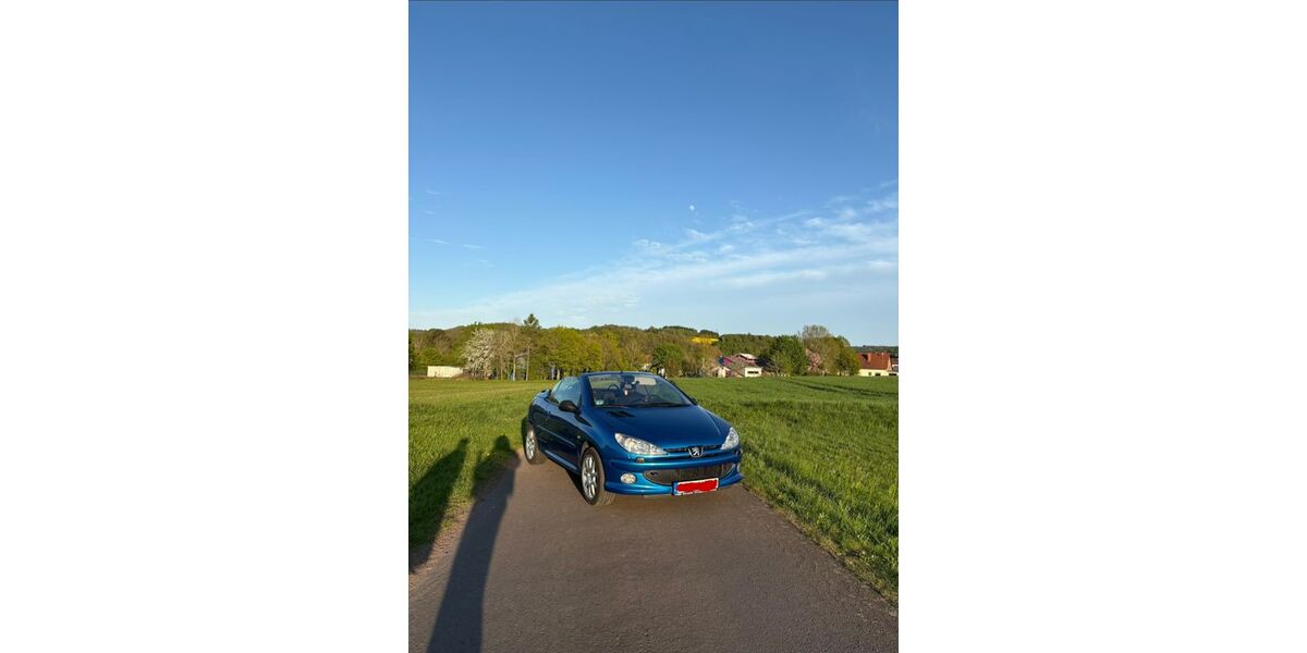 Peugeot 206 154.500 km 2.690 &euro; Baumholder 55774