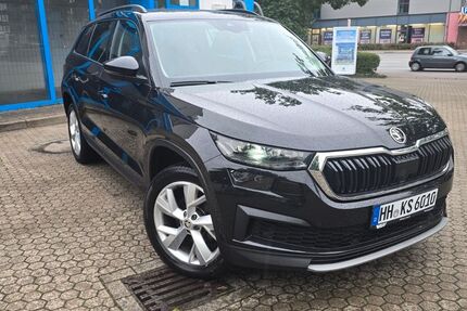 Skoda Kodiaq 199.000 km 22.100 € Hamburg 22527