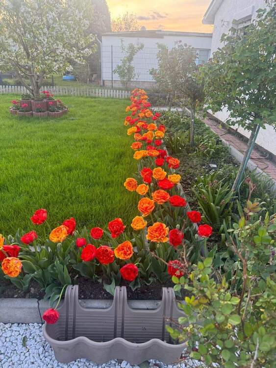 5 Zimmer Haus in Blankenburg mit wunderschönem Garten 5 zimmer