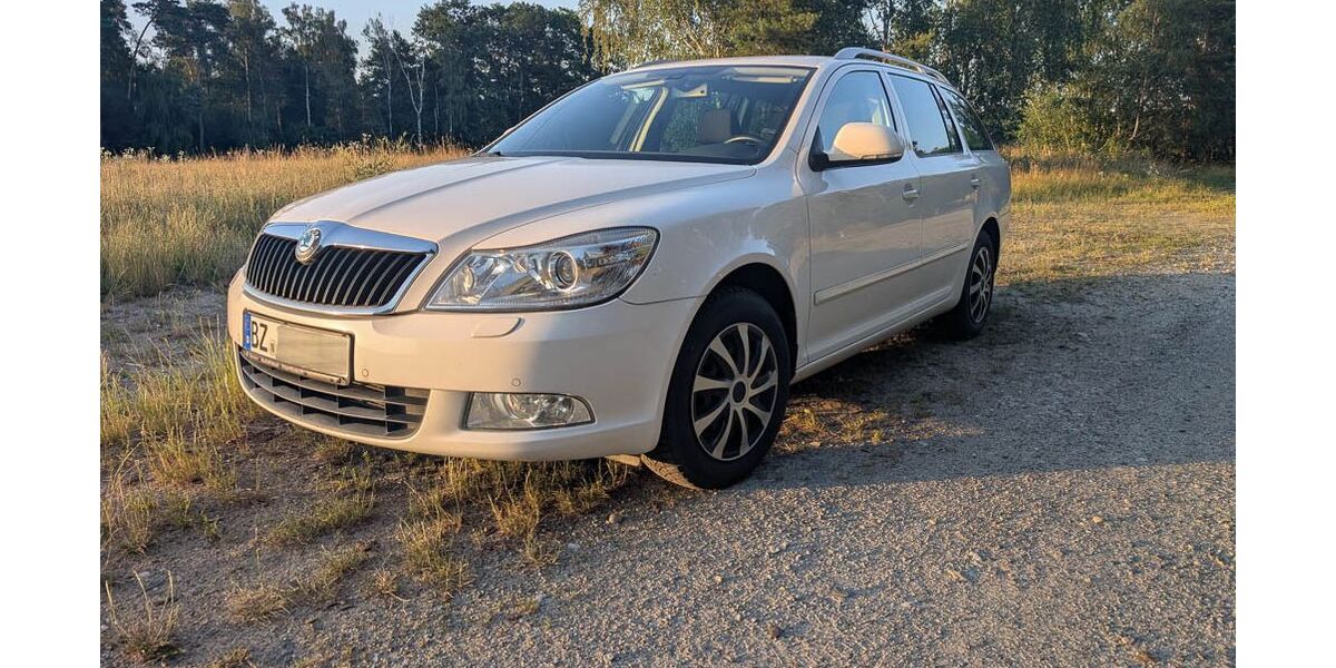 Skoda Octavia 137.000 km 5.999 &euro; Großdubrau 02694