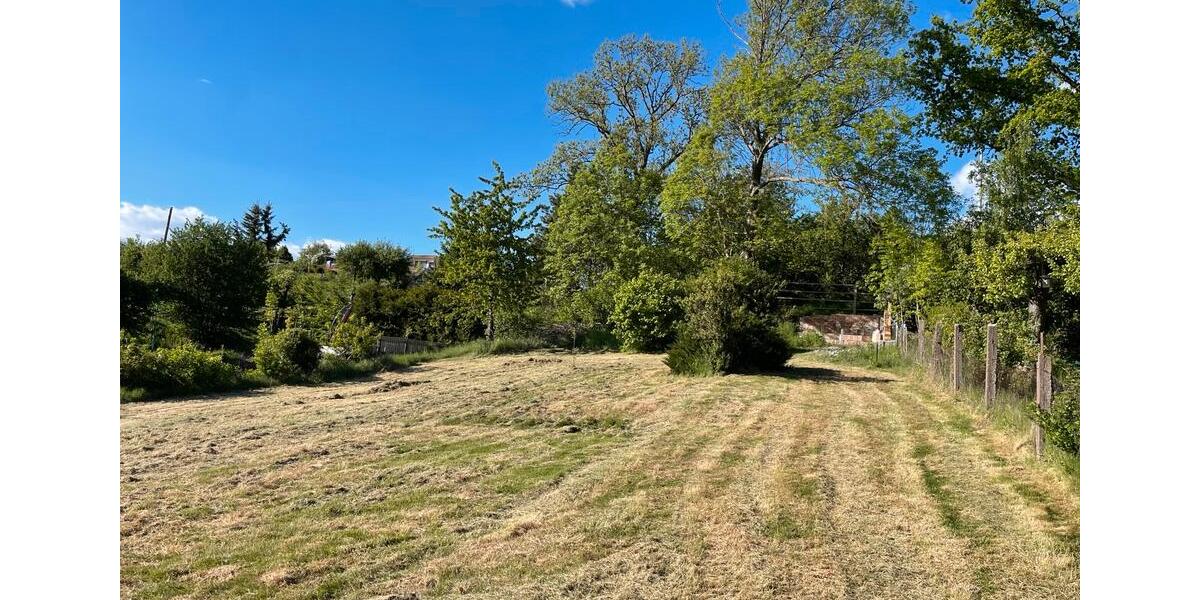 Mehrfamilienhaus, Wohnhaus Bleicherode - 10 Zimmer, 290 m&sup2;, 55.000&euro; | Angebot:24636705