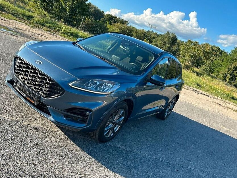 Kuga