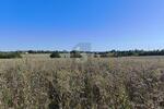VERMÖGENSANLAGE MIT ENTWICKLUNGSPOTENZIAL - Grundstück Geithain | Angebot:27327958