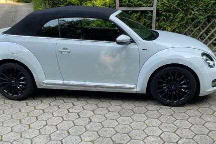 VW Beetle