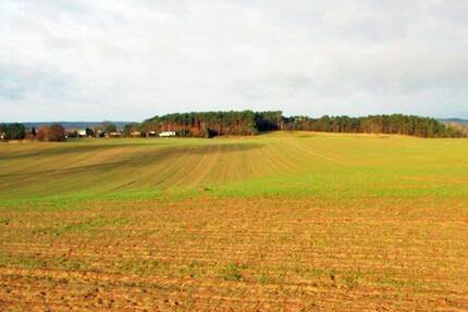 Grundstück Zirchow - 92.285&euro; | Angebot:24140681