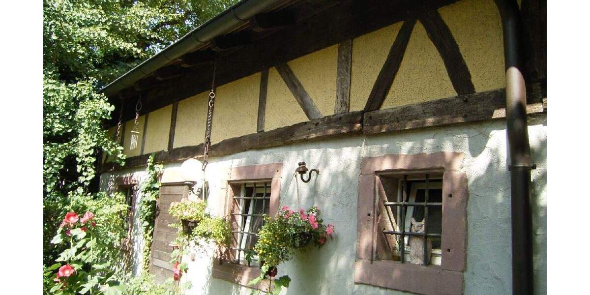 Mehrfamilienhaus, Wohnhaus Ahorn-Schillingstadt Schillingstadt - 1 Zimmer, 450 m&sup2;, 520.000&euro; | Angebot:25778755