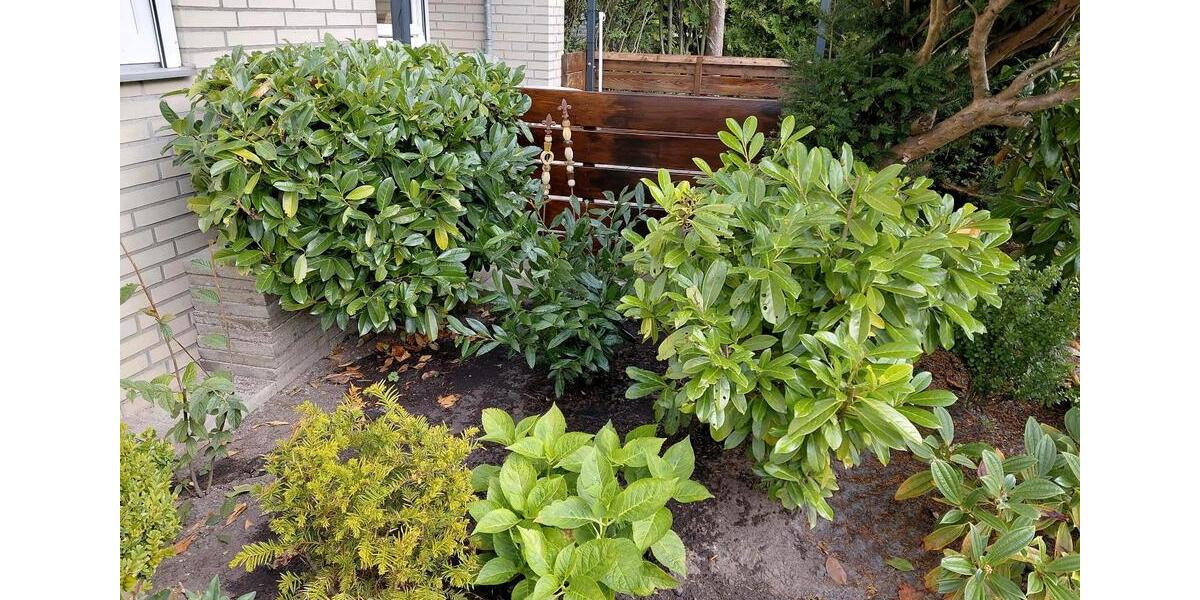 Etagenwohnung Bad Iburg - 2 Zimmer, 38 m&sup2;, 179.000&euro; | Angebot:24755274