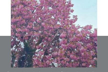 moderne 3 Zimmer Eigentumswohnung - RESERVIERT 3 zimmer