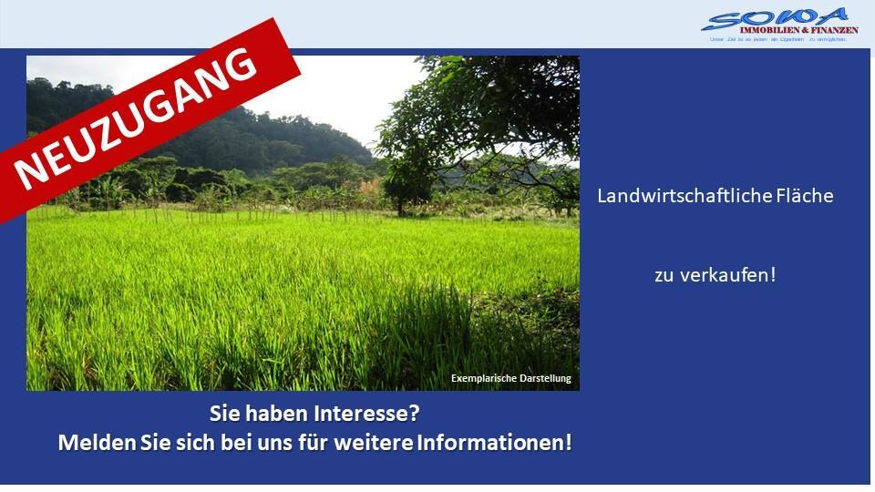 Großzügige Landwirtschaftsfläche oder Ausgleichsfläche zu verkaufen in Syrgenstein - Ein Objekt von SOWA Immobilien & Finanzen Ihrem Immobilienprofi vor Ort