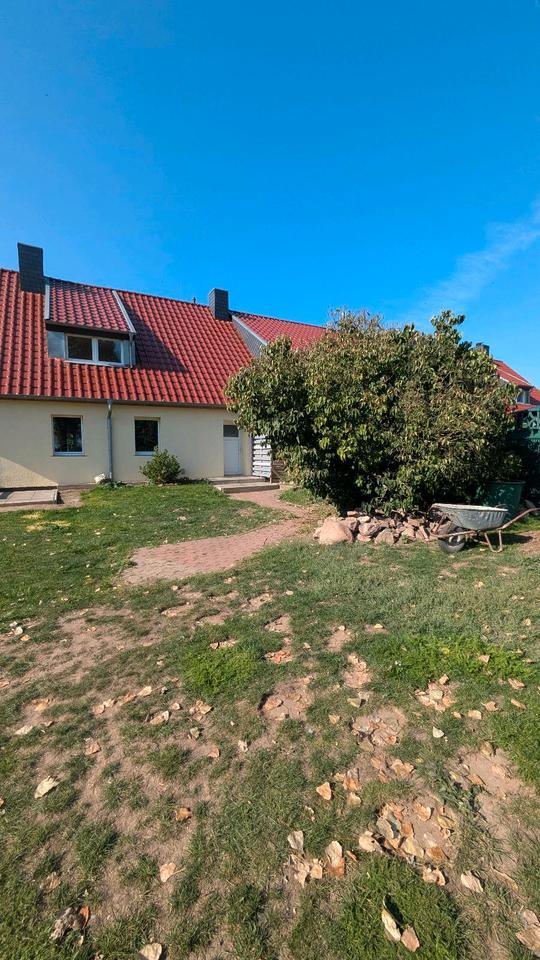 Familienfreundliches Reiehnendhaus- ab sofort zimmer