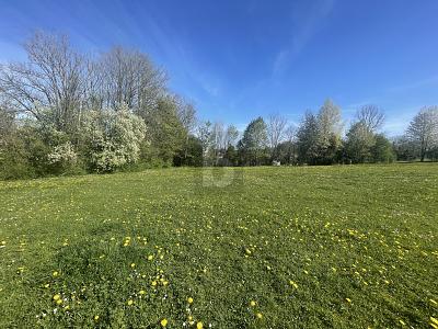 INVESTMENT IN IHRE ZUKUNFT- KAUFEN SIE LAND - Grundstück Berg | Angebot:26421157