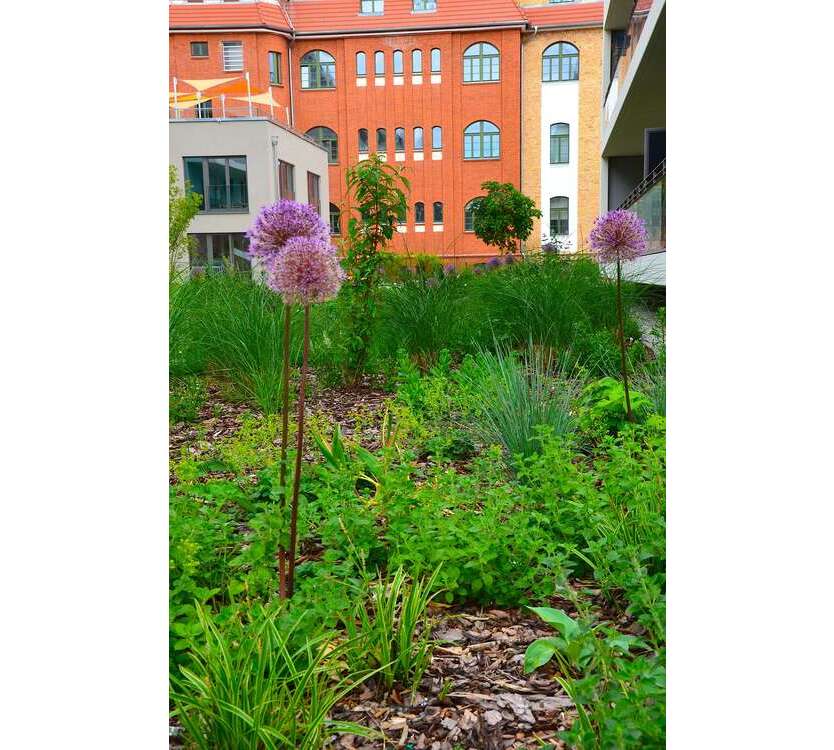 Wohnung zum Mieten in Berlin 3.995 € 178.4 m²