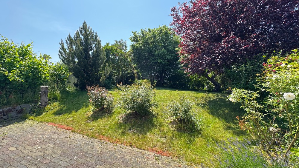 Helles, großes Einfamilienhaus mit Einliegerwohnung und Büro, Praxis oder Ferienwohnung - Einfamilienhaus Pohrsdorf Pohrsdorf | Angebot:26287315