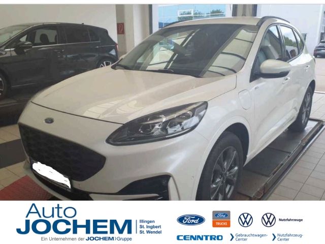 Kuga