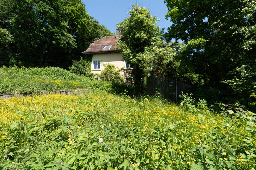 Grundstück Laufenburg - 97.000&euro; | Angebot:25984112