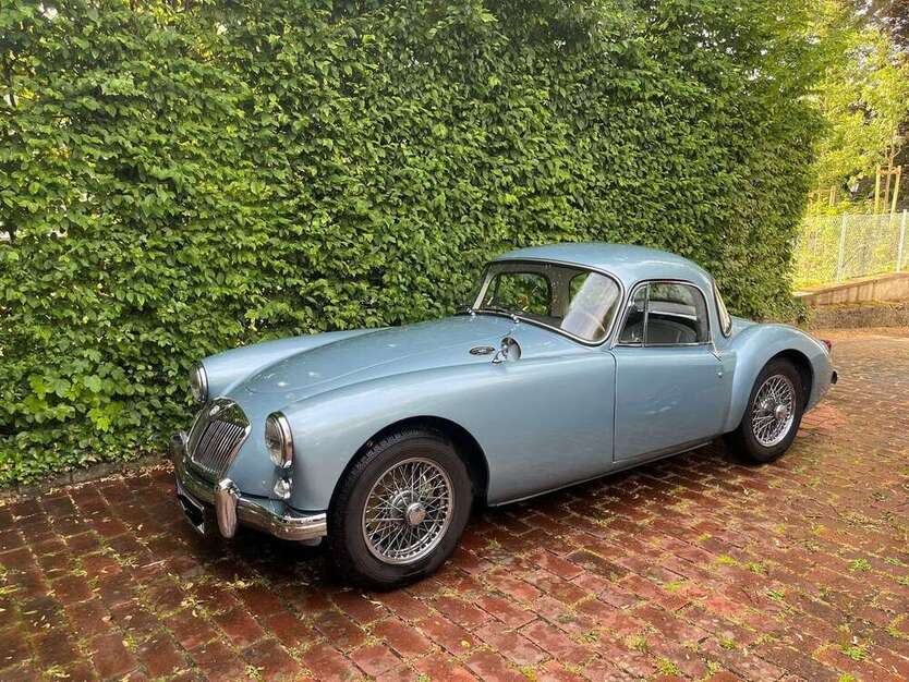 MGA