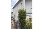 Reihenhaus Obertraubling - 7 Zimmer, 225 m&sup2;, 780.000&euro; | Angebot:27115188