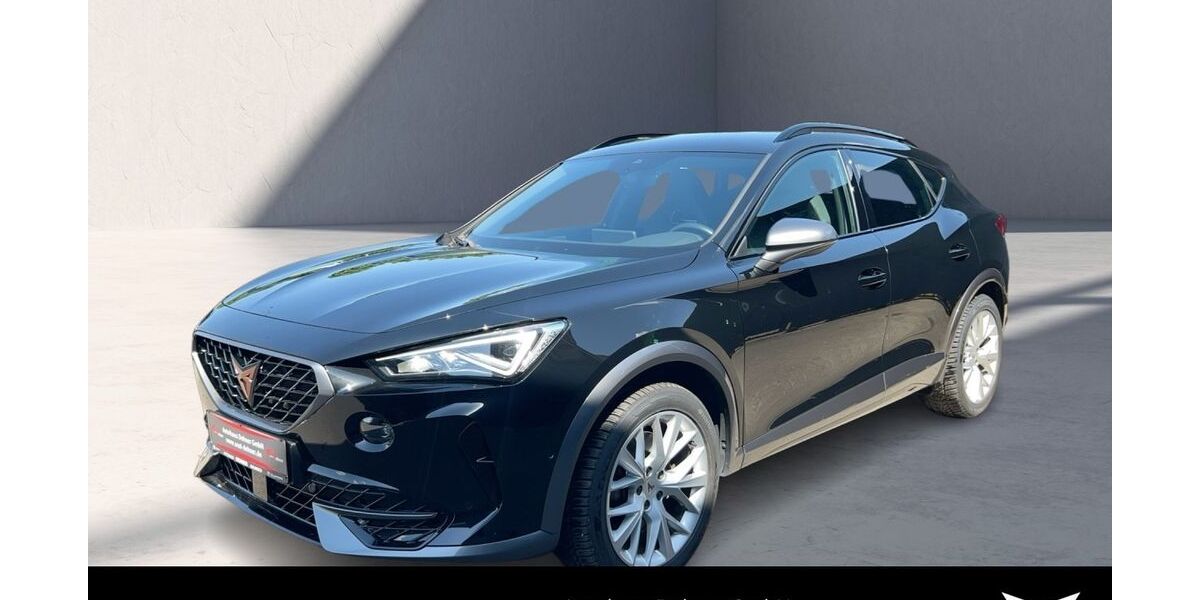 Cupra Formentor 76.500 km 25.980 &euro; Balingen 72336