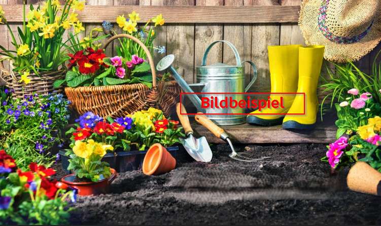 Grundstück Mindelheim - 150.000&euro; | Angebot:24990049