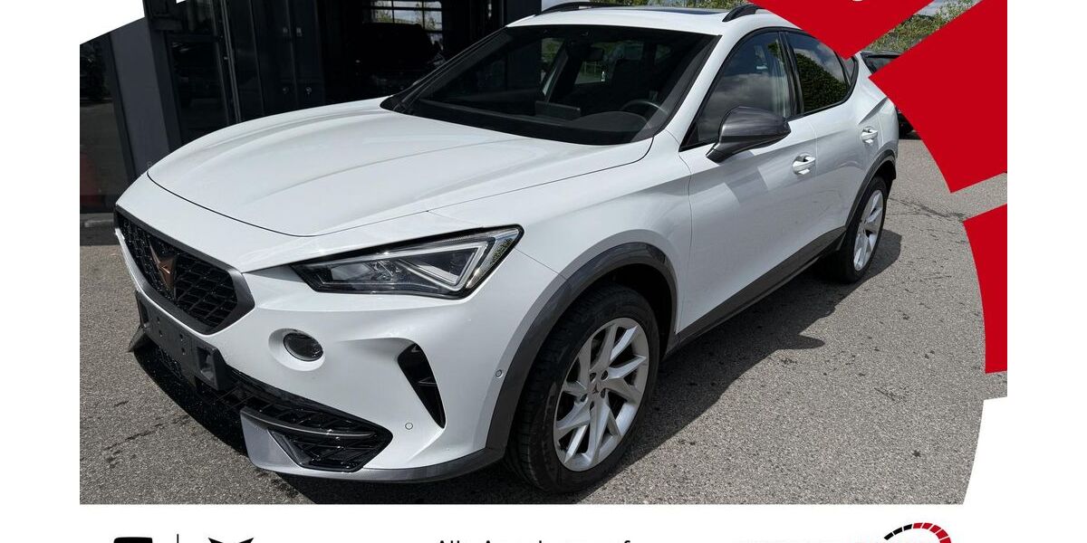 Cupra Formentor 11.952 km 30.990 &euro; Werneck 97440