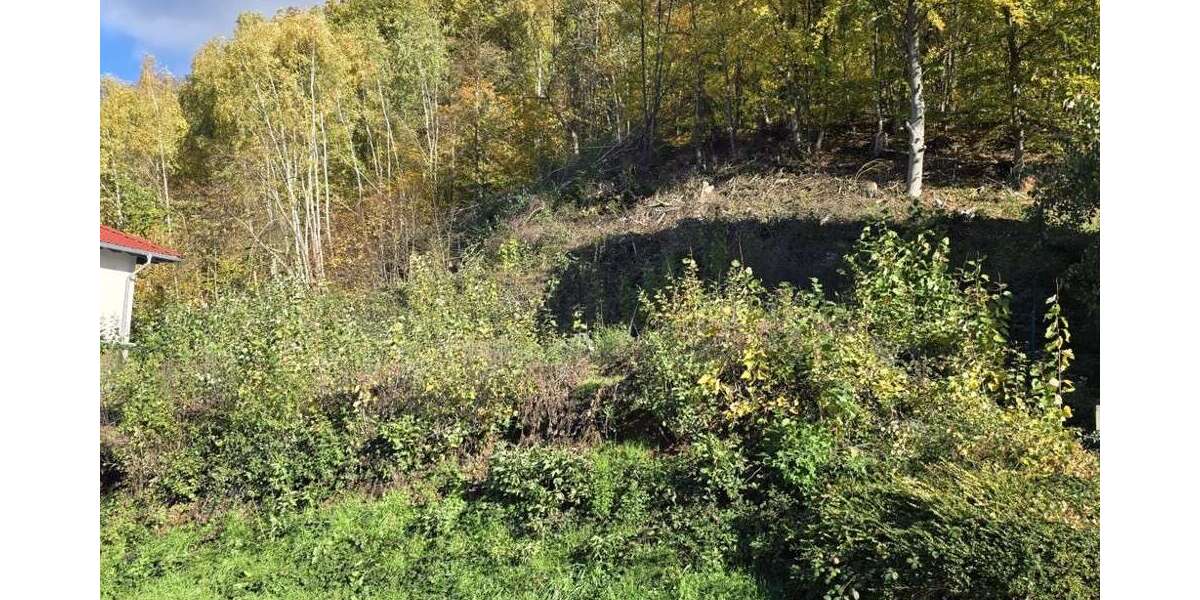 Grundstück Breuberg / Sandbach Sandbach - 119.000&euro; | Angebot:25474510