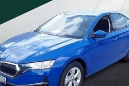 Skoda Octavia 18.928 km 27.245 € Regen 94209