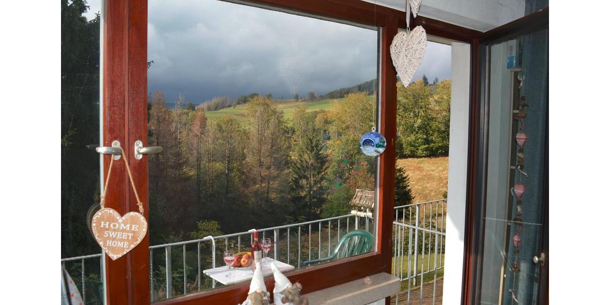 Etagenwohnung Braunlage Sankt Andreasberg - 1 Zimmer, 20 m&sup2;, 25.000&euro; | Angebot:26414499