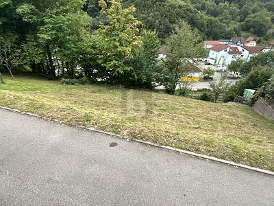 SCHÖNE AUSSICHTEN FÜR EIN GEMEINSAMES ZUHAUSE - Grundstück Weisenbach | Angebot:26340435