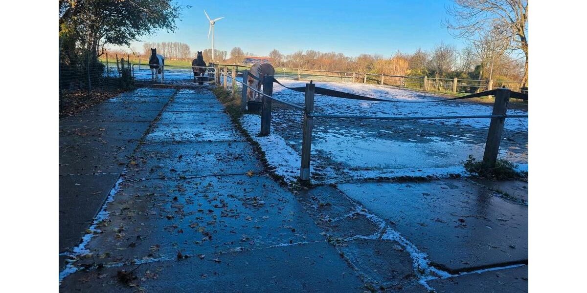 Bauernhaus, Landhaus Krummhörn - 7 Zimmer, 270 m&sup2;, 2.700&euro; | Angebot:25232684