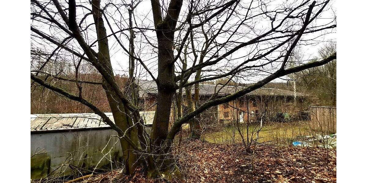 Ehemaliger Außenstall auf einem Grundstück mit 4.600 m² in Mansfeld-Leinemühle *PROVISIONSFREI* zimmer