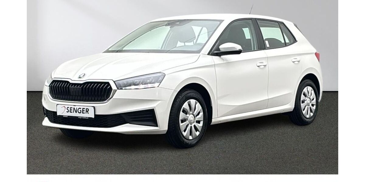 Skoda Fabia 25.051 km 13.880 &euro; Emsdetten 48282