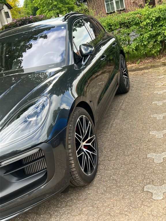 Macan
