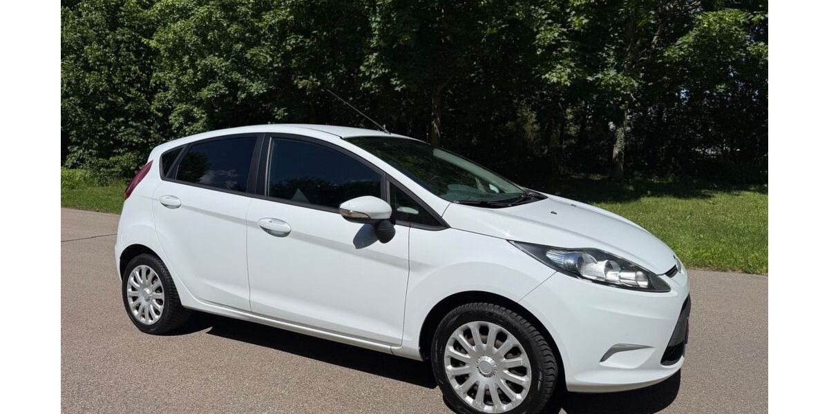 Ford Fiesta 179.000 km 2.990 &euro; Röfingen 89365