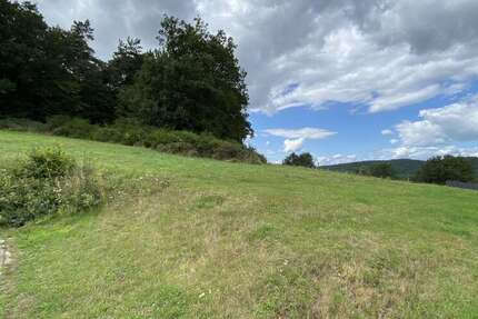 Grundstück Landscheid - 59.000&euro; | Angebot:25198944