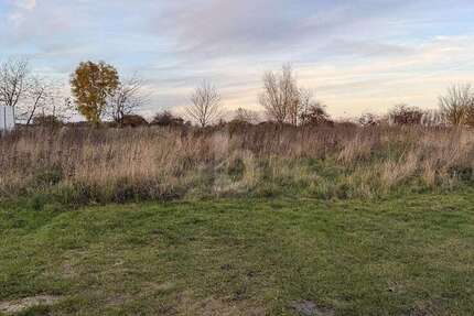 Grundstück Langenberg - 330.000&euro; | Angebot:26246543