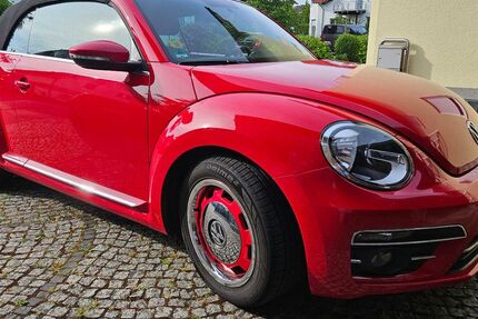 VW Beetle 65.800 km 19.900 &euro; Graben-Neudorf 76676