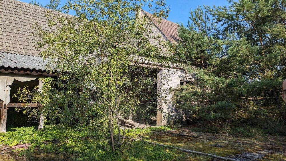 Grundstück Oelsig Oelsig - 185.000&euro; | Angebot:26819107